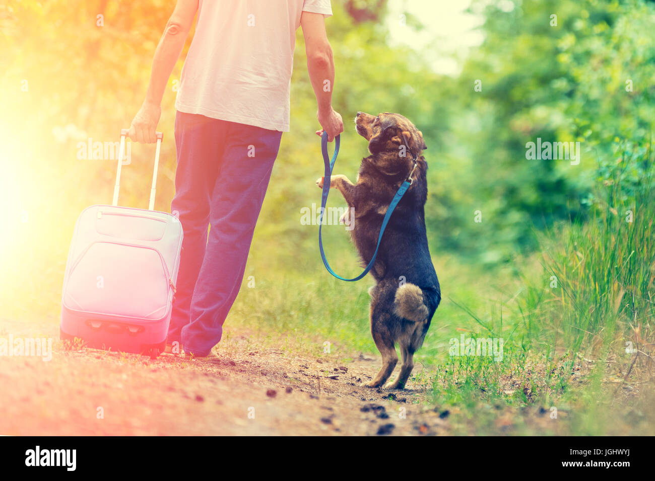 A man walks with a dog on a leash along a country road with his back to ...