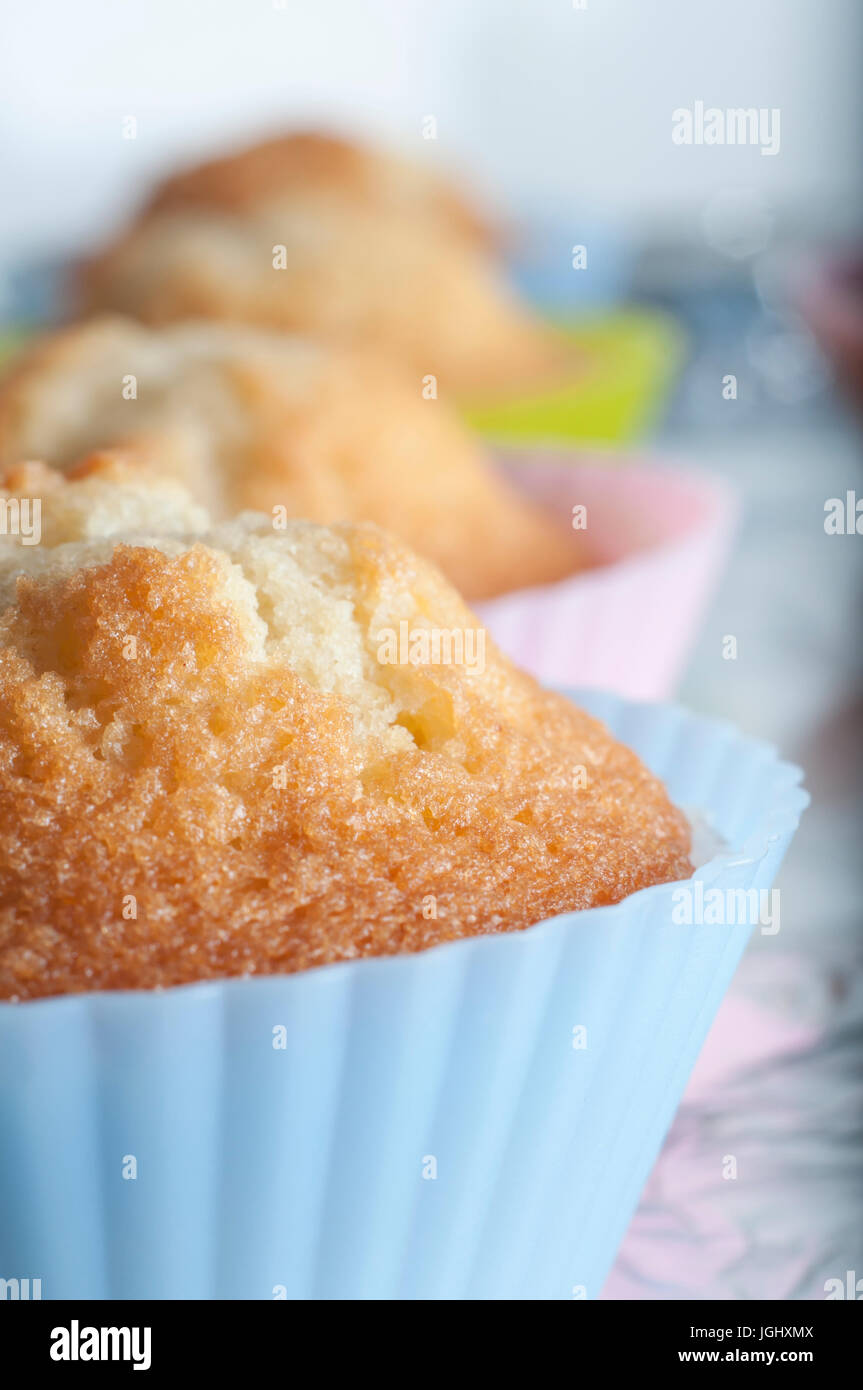 Close up (macro) of a row of plain vanilla cupcakes in bright pastel silicone cases, freshly baked, undecorated and resting on a foil covered baking t Stock Photo