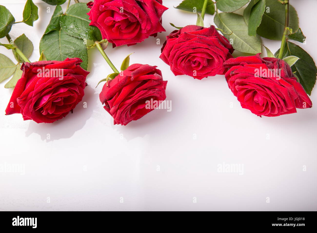 Red roses ornaments on white background Stock Photo - Alamy
