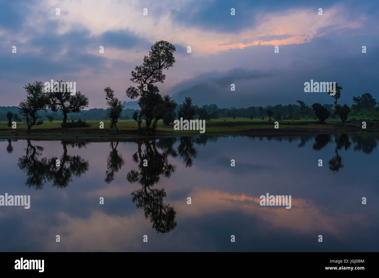 Reflection of trees in water hi-res stock photography and images - Alamy