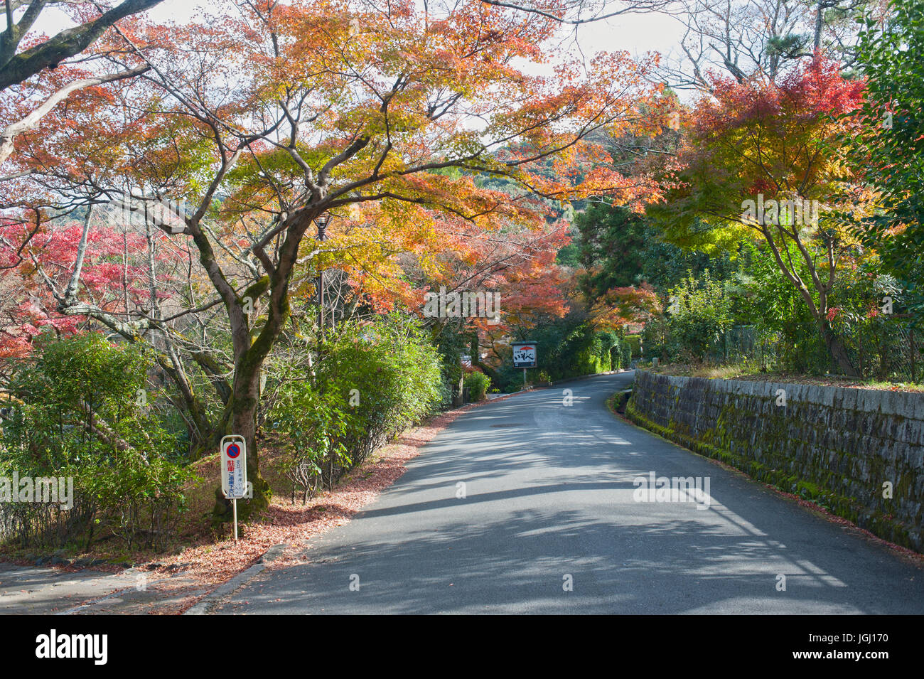 Kyoto, Japan - Red Foliage at Maruyama-koen park Stock Photo