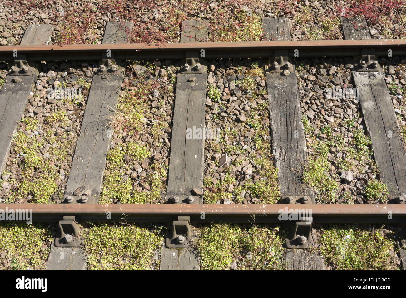 Rotting railway sleepers Stock Photo