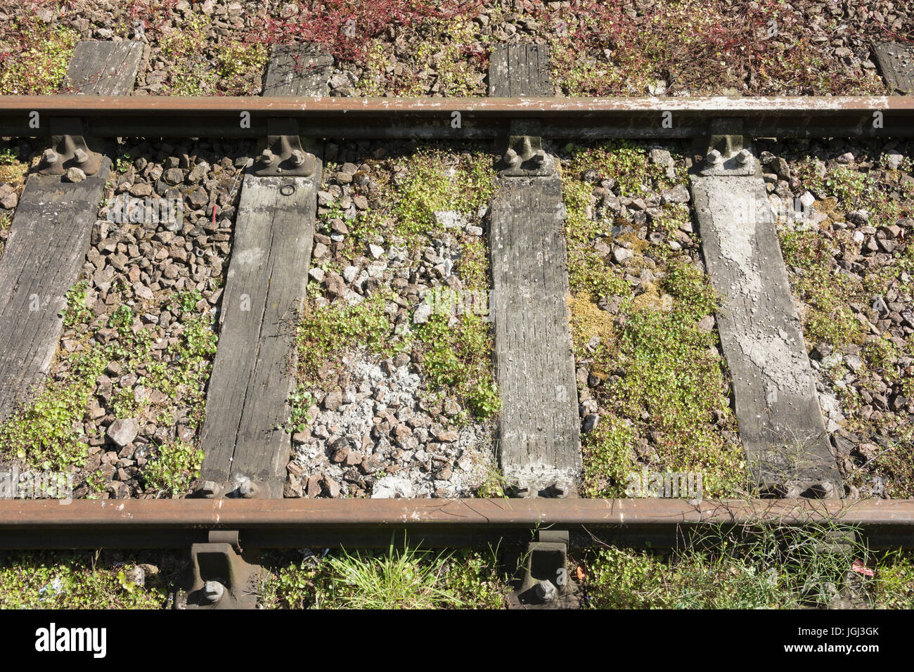 Rotting railway sleepers Stock Photo