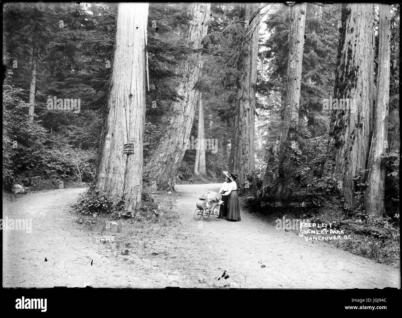Stanley Park, Vancouver Road in Stanley Park Stock Photo Alamy