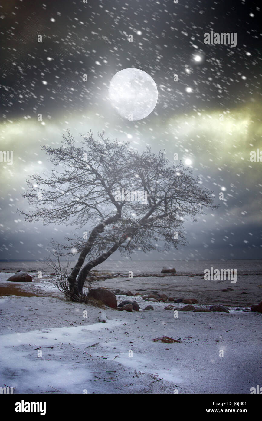 Fantasy on theme of winter. Solitary tree on the shore of frozen sea. Loneliness and restlessness in moonlight Stock Photo