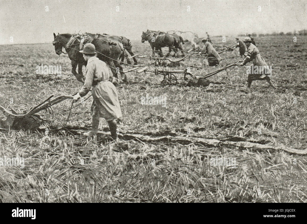 Women ploughing in Surrey, World war 1 Stock Photo