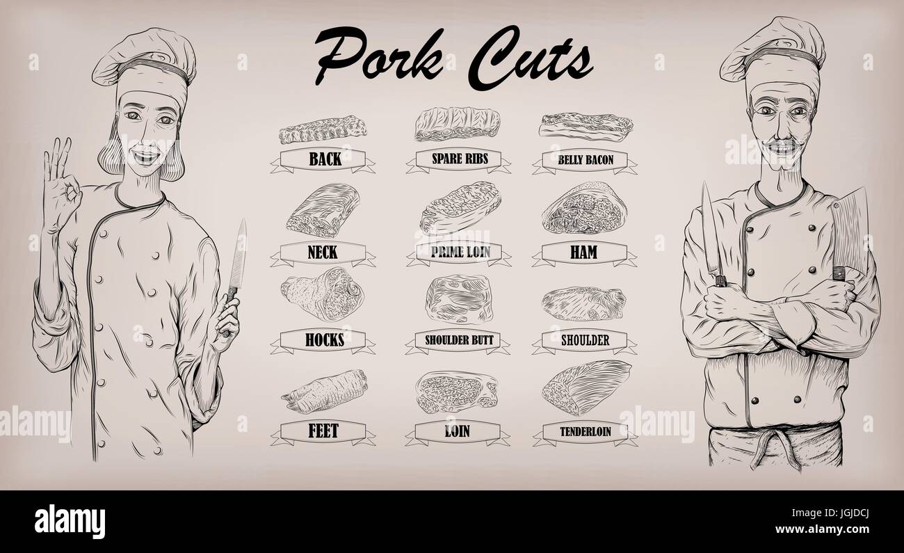 Pork pig carcass cut parts chops info graphics scheme sign poster