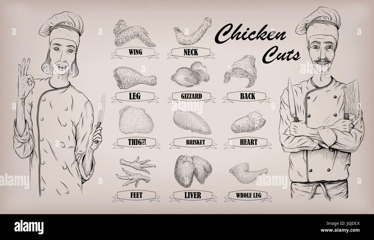 Chicken meat carcass cut parts chops info graphics scheme sign poster butchers guide neck gizzard woman and men butcher cook portrait Vector closeup h Stock Vector