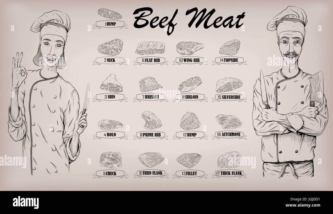 Beef meat carcass cut parts cow chops info graphics scheme sign poster butchers guide back neck shoulder; woman and men butcher cook portrait. Vector  Stock Vector