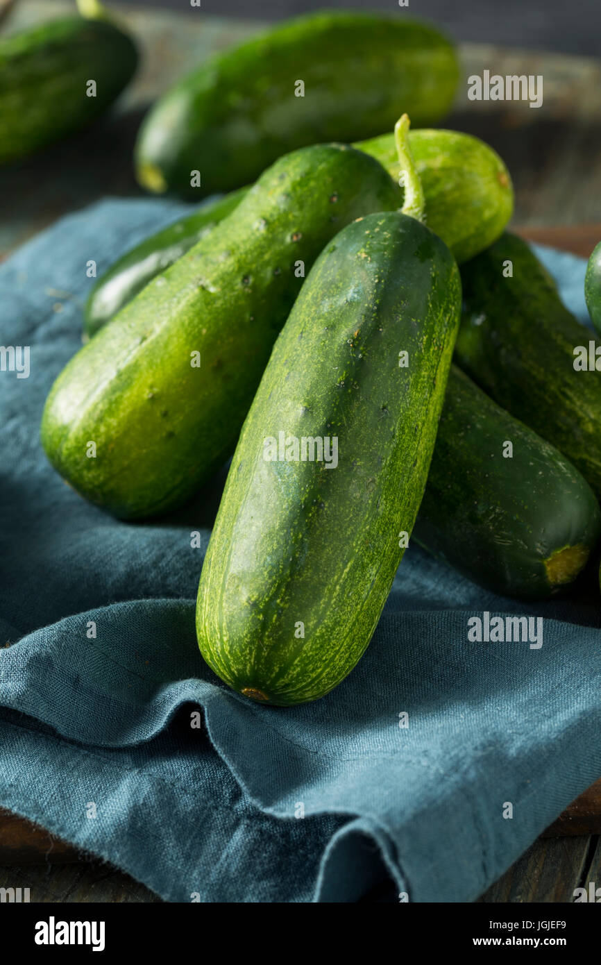 Cucumbers Stock Photos & Cucumbers Stock Images Alamy