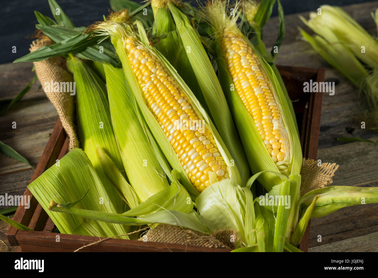 Raw Organic Yellow Corn on the Cob Ready to Eat Stock Photo Alamy