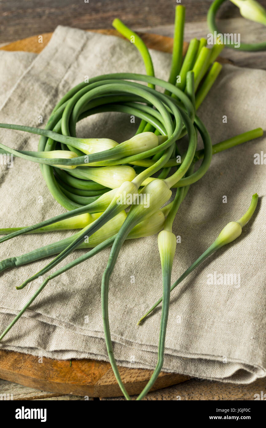 Raw Green Organic Garlic Scapes Ready to Use Stock Photo
