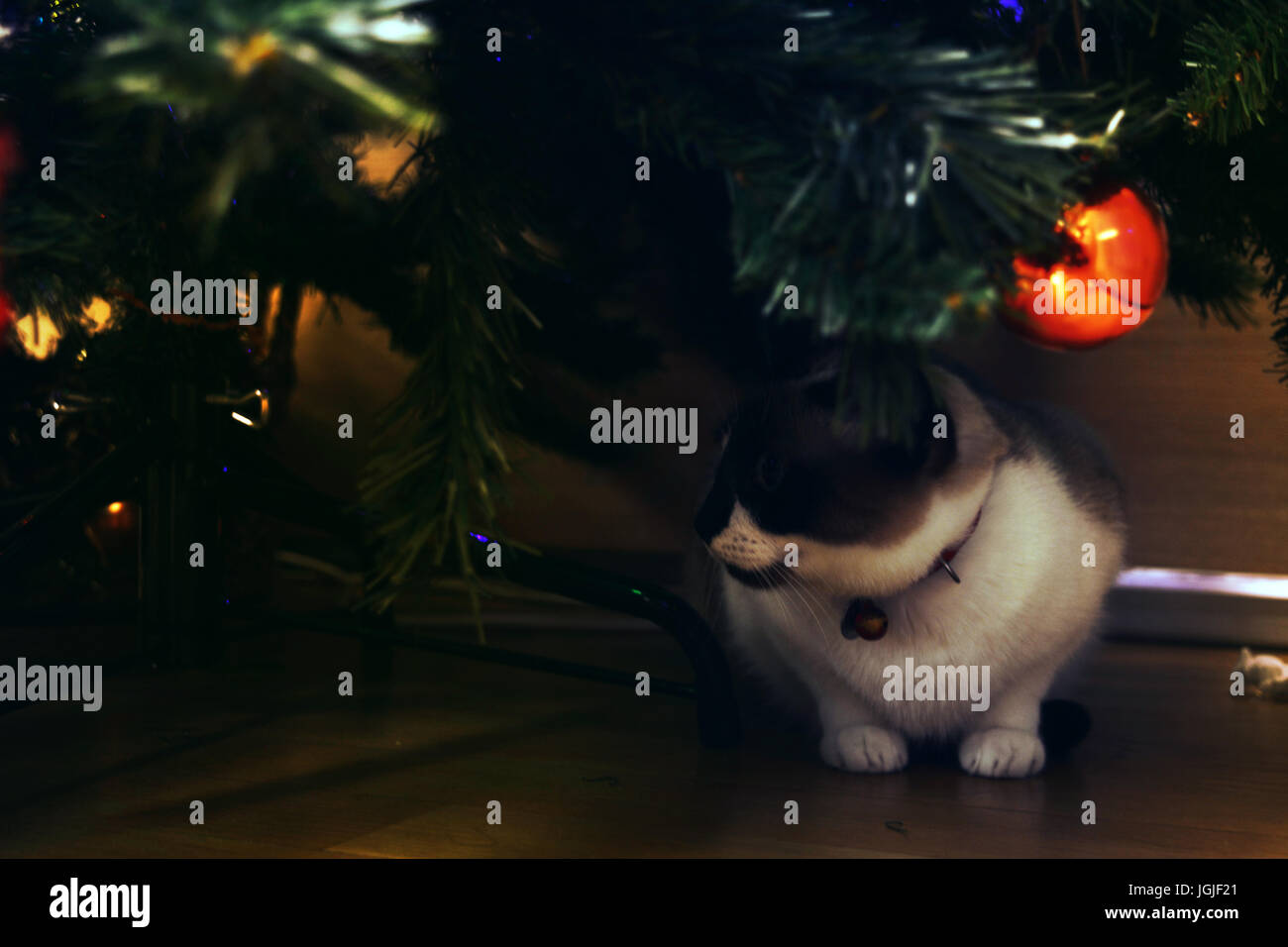 Playful ornaments hires stock photography and images Alamy