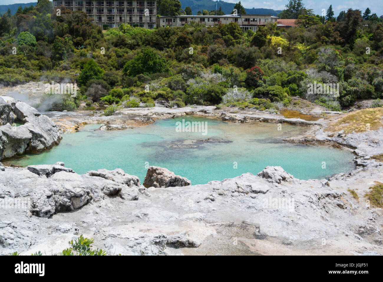 Pohutu Geyser Te Puia Te Whakarewarewa Thermal Valley New Zealand Stock Photo