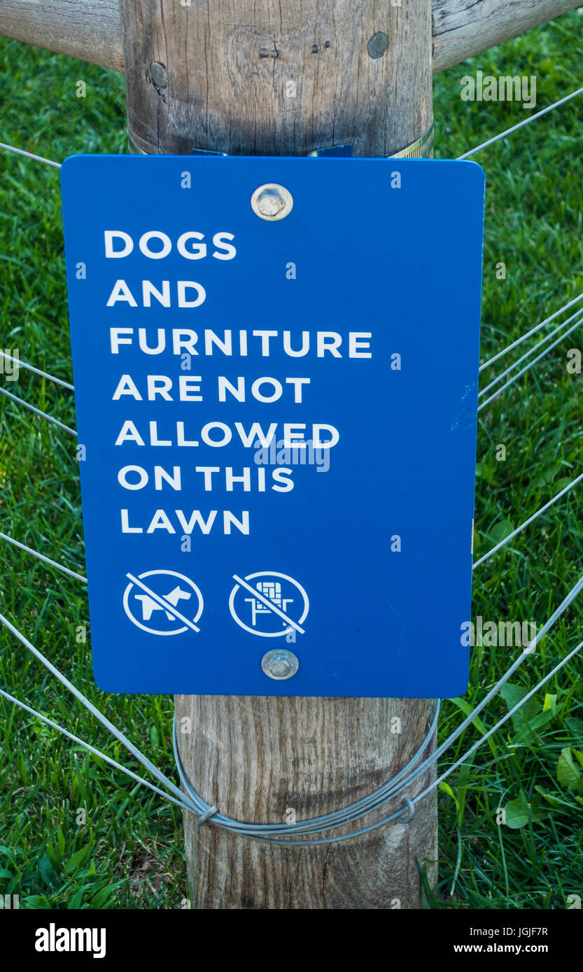 Should Dogs Be Allowed On Furniture