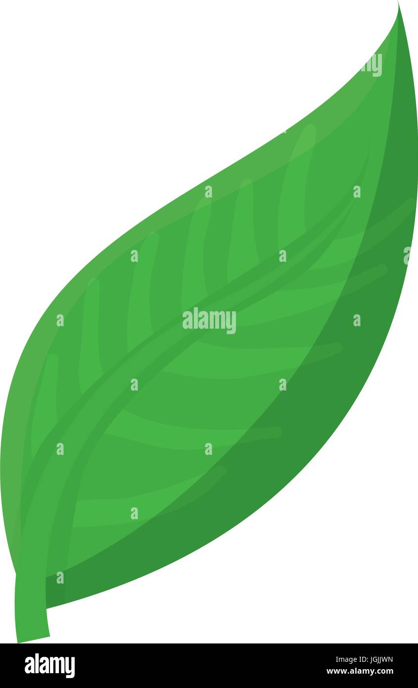 leaf icon image Stock Vector Image & Art - Alamy