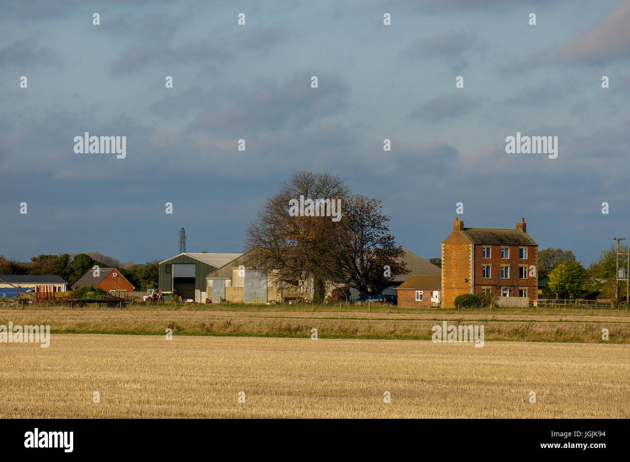 Flat field landscape of farm buildings and house in a rural part of Baston, Lincolnshire, England, UK. Stock Photo