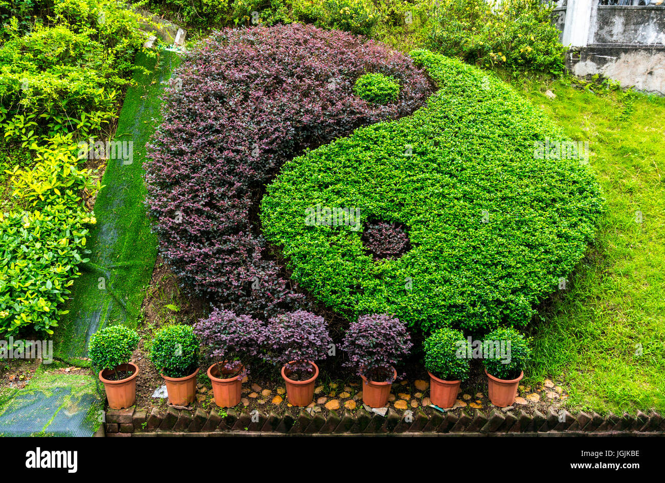 Yin and yang pattern in garden, landscaped bushes and shrubs Stock Photo