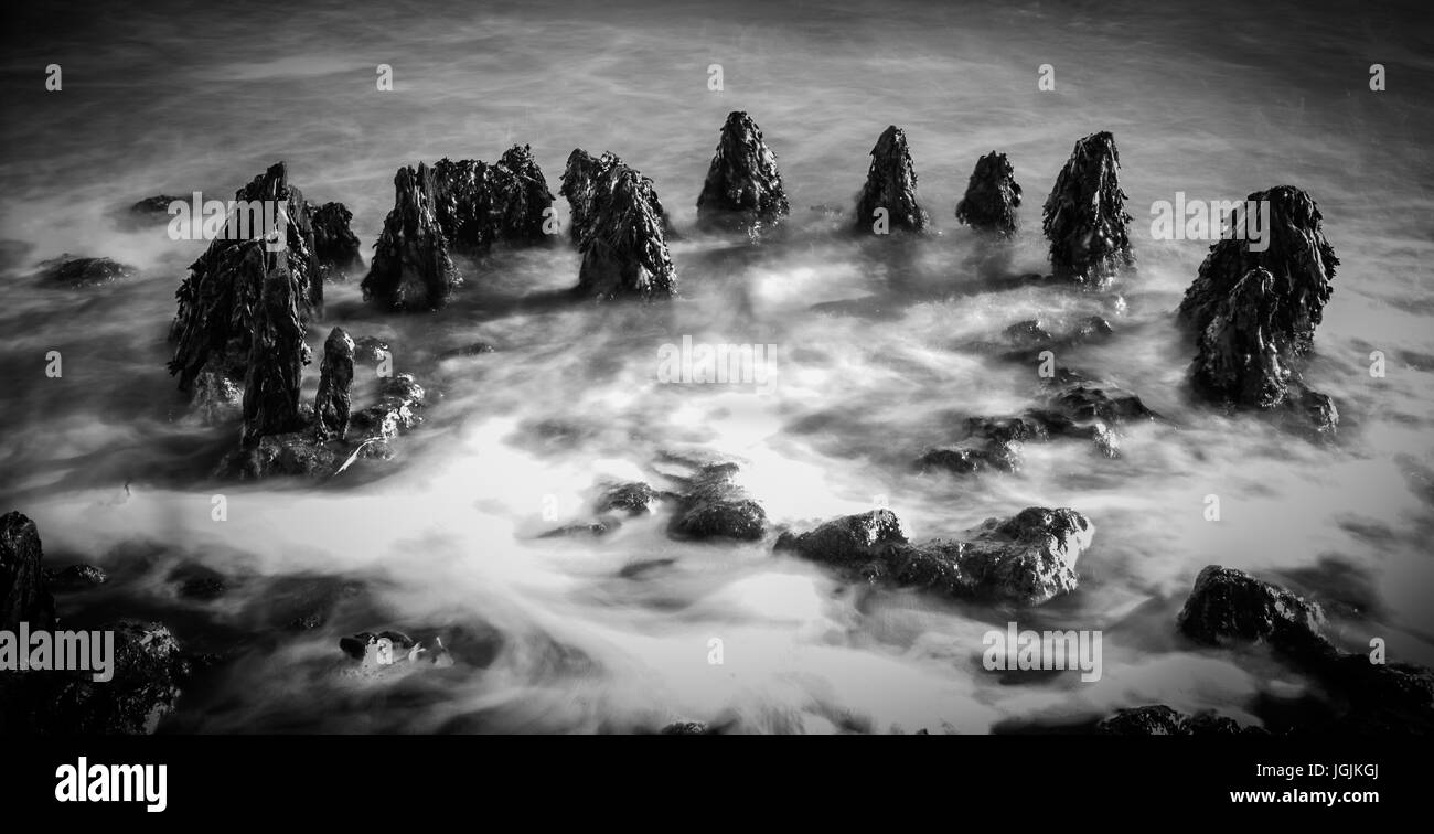 Mersea Rocks Mersea shore hi-res stock photography and images - Alamy