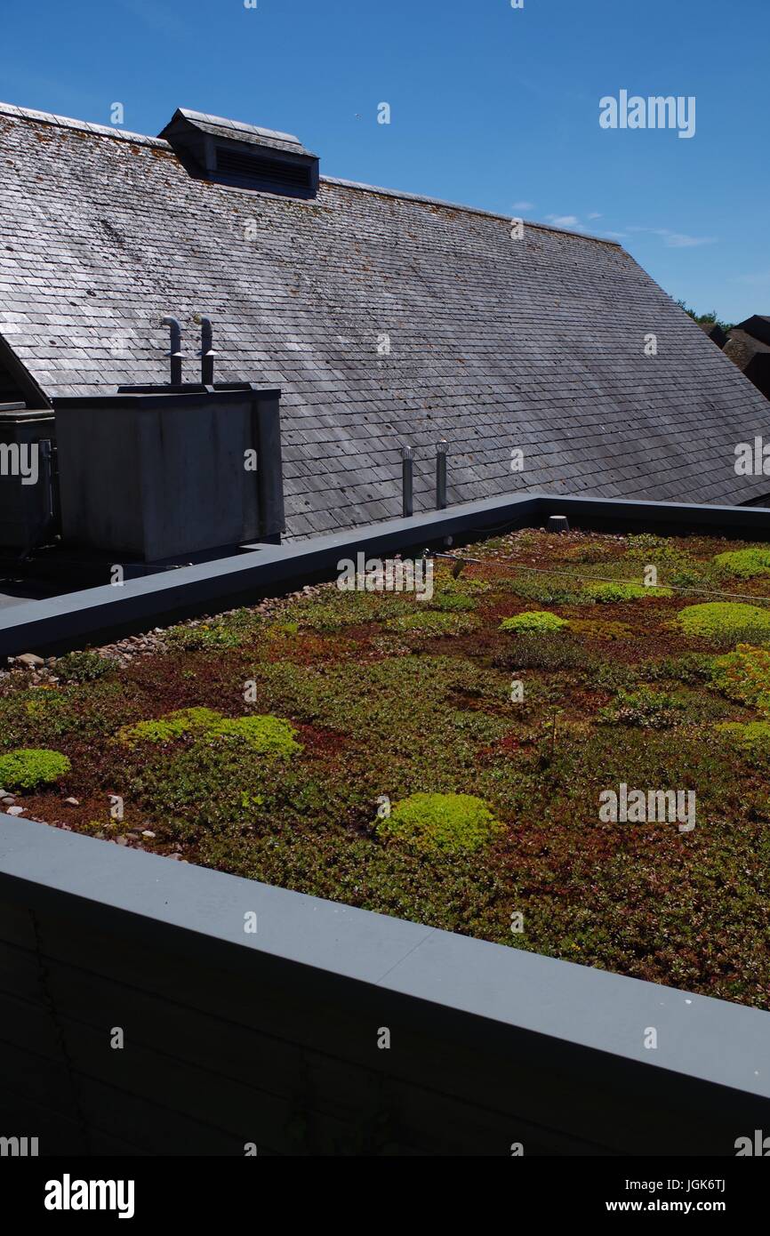 Devon wildlife trust exeter hi-res stock photography and images - Alamy