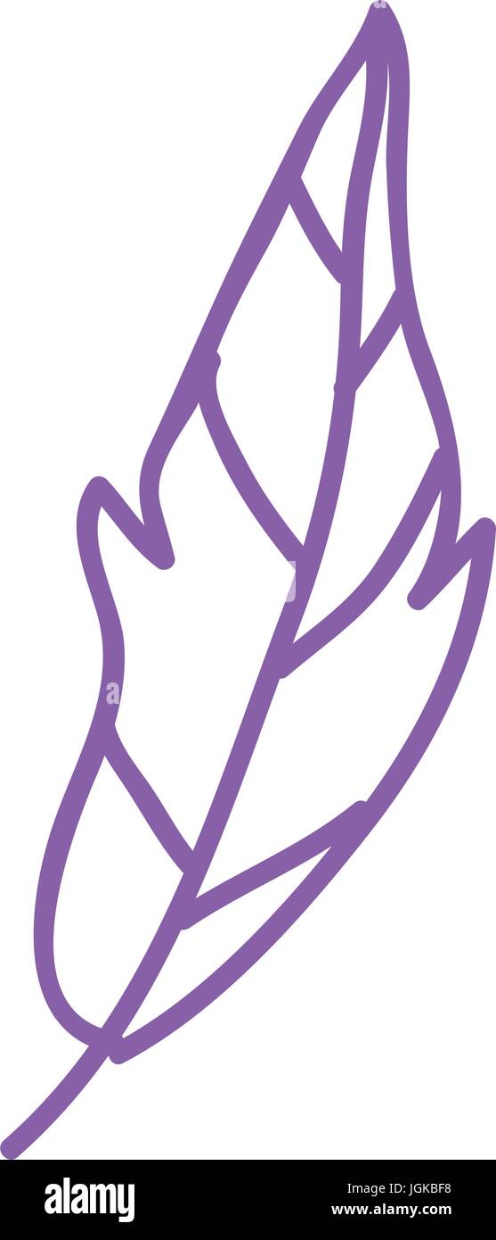 Boho style decorative feather vector illustration design Stock Vector ...