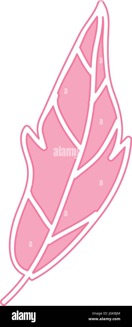 Boho style decorative feather vector illustration design Stock Vector ...