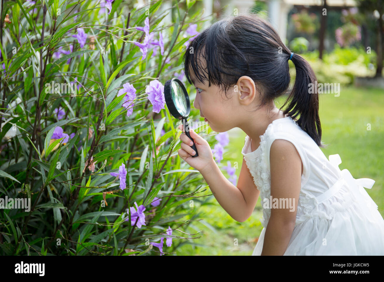 Asian Chinese little girl looking at flower through a magnifying glass