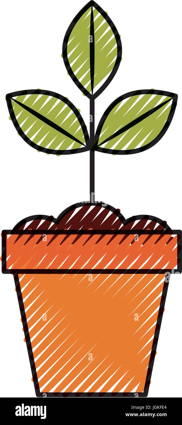 Cultivated plant in pot Stock Vector Image & Art - Alamy