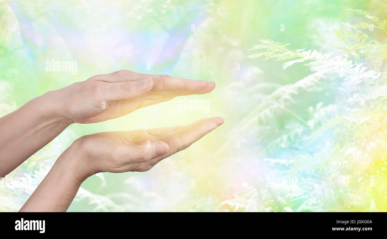 Qi Gong  healing Energy - female hands held parallel position with golden glow between with a yellow green ethereal woodland background and copy space Stock Photo