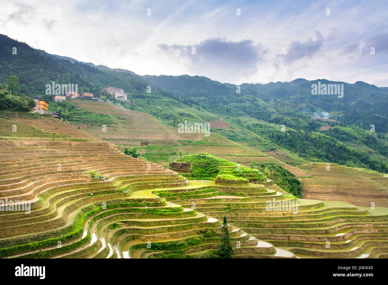 Terraced rice field in Longji, Guilin area, Guangxi China Stock Photo