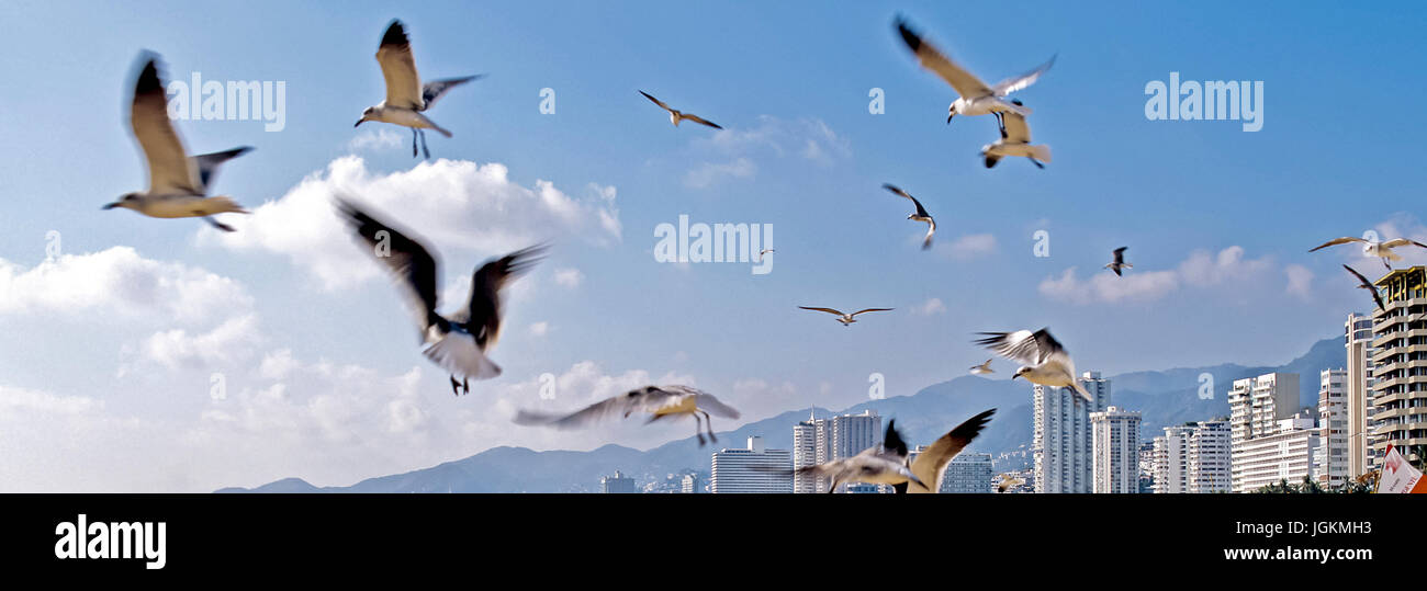 Laptop beach wallpaper hi-res stock photography and images - Alamy