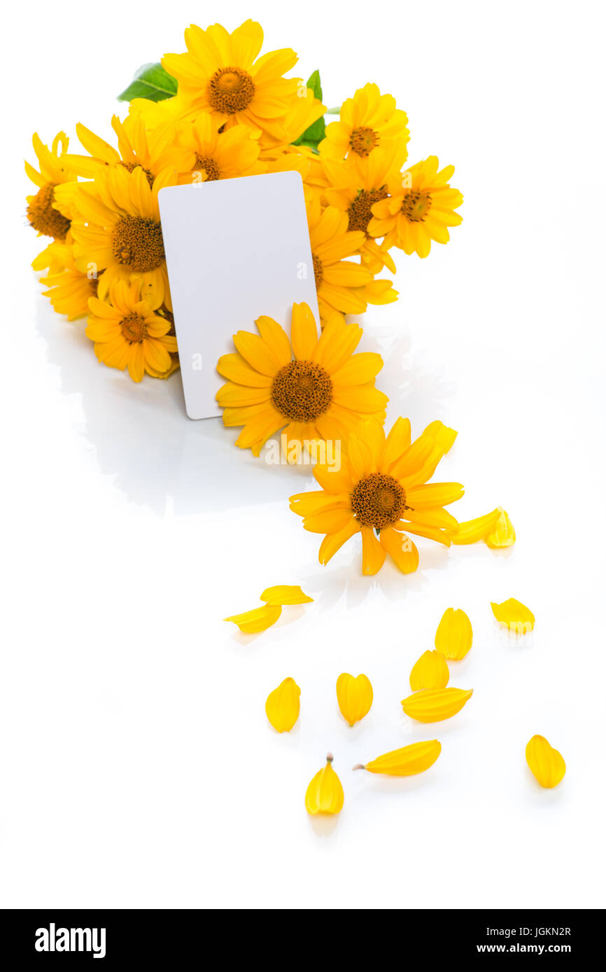 bouquet of yellow daisies Stock Photo Alamy