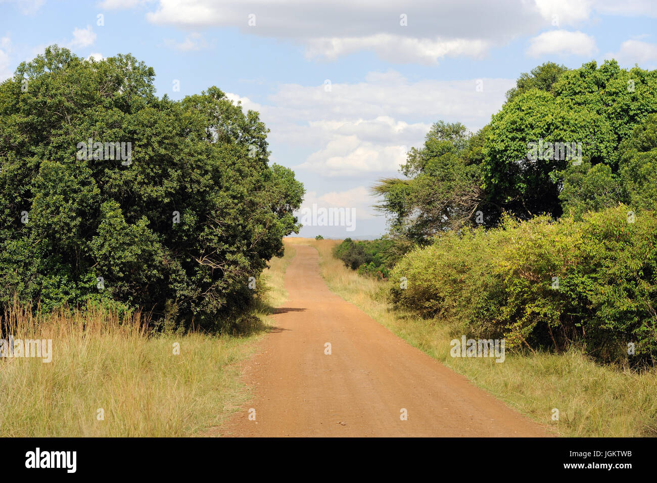 Road in savannah in the National park of Kenya, Africa Stock Photo