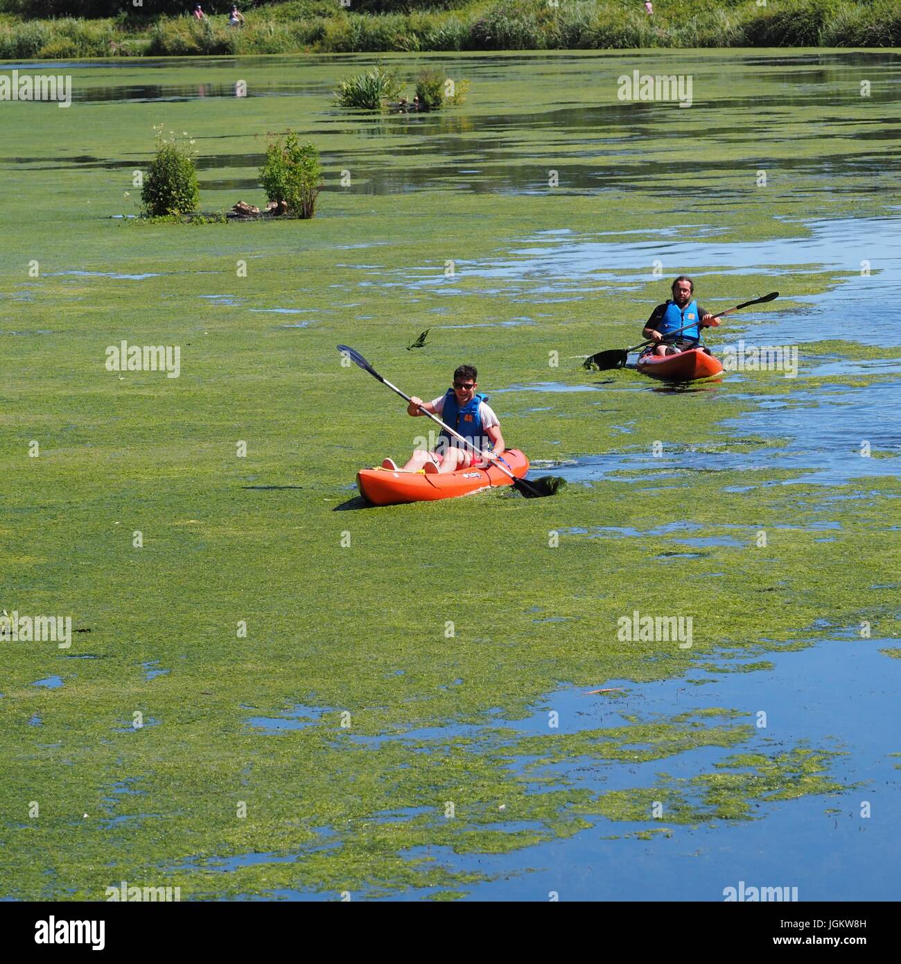 Two people enjoying canoeing on exeter canal Stock Photo Alamy