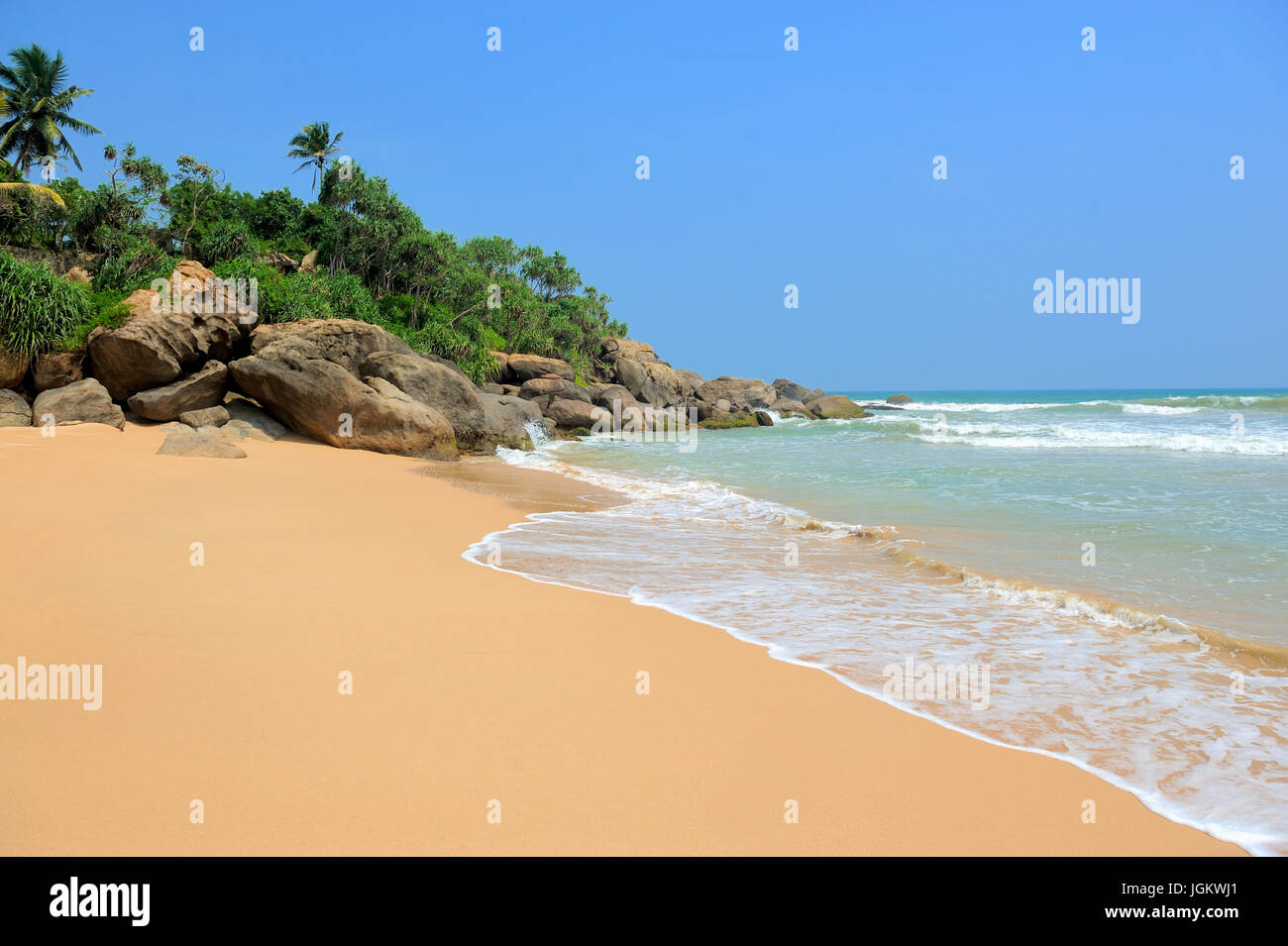 Tropical beach with palm in Sri Lanka Stock Photo - Alamy