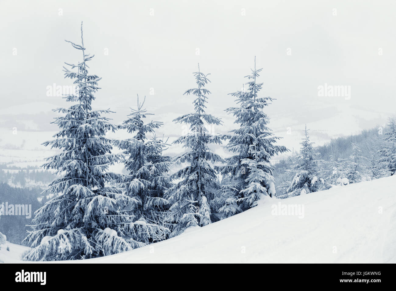 Beautiful winter landscape with snow covered trees Stock Photo - Alamy