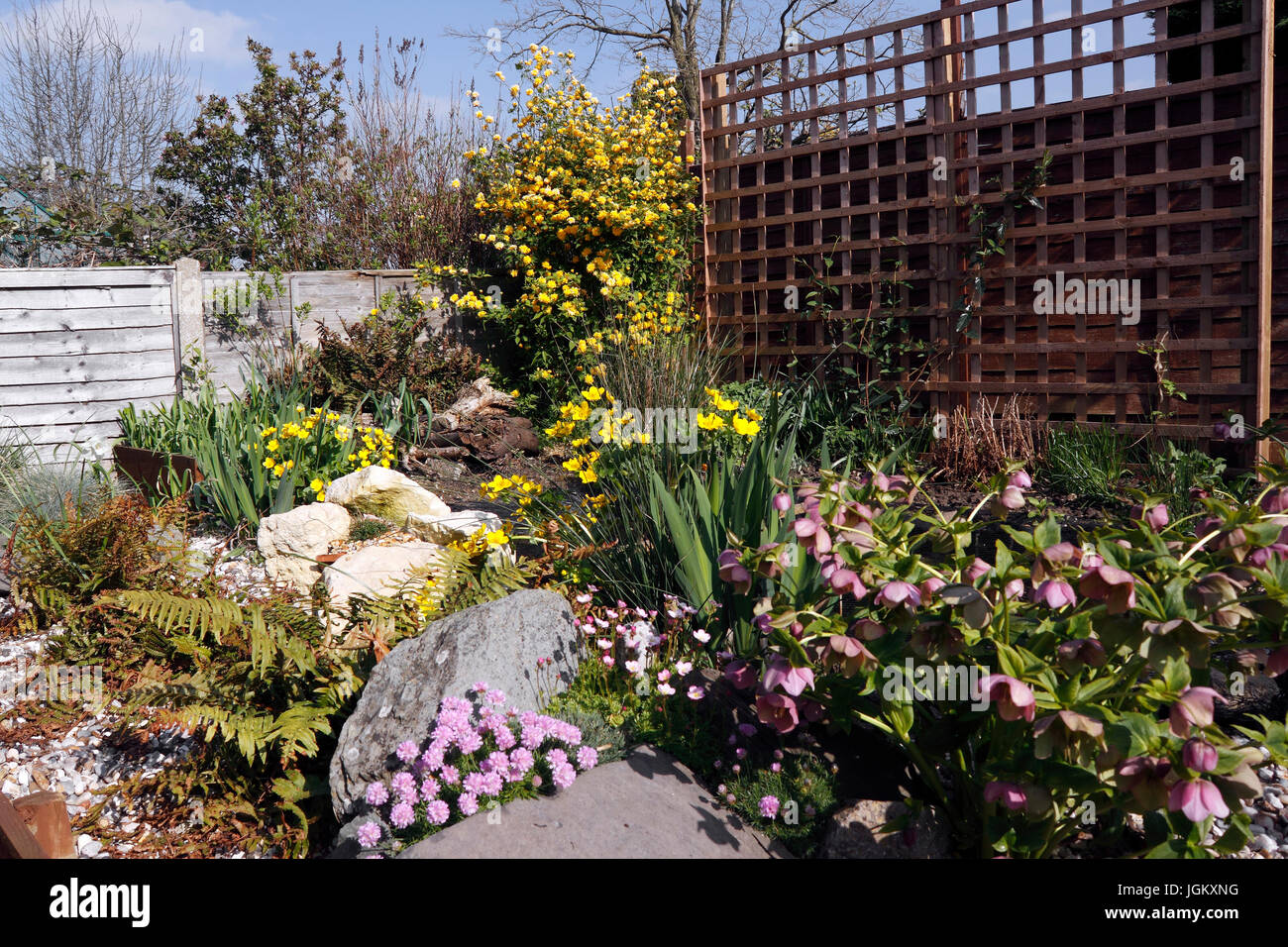 ROCKERY IN A BACK GARDEN Stock Photo - Alamy