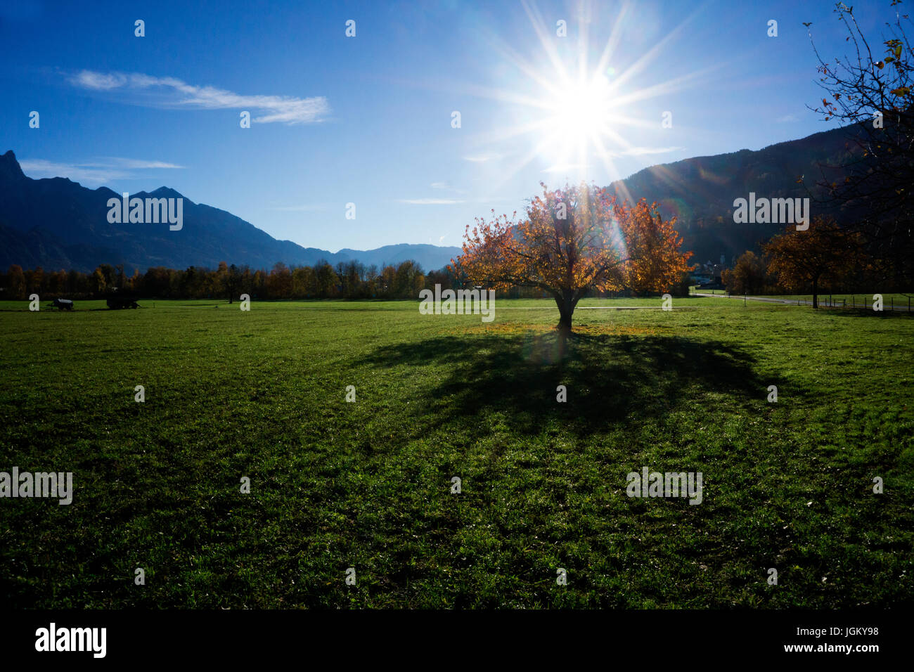Europa Schweiz Sargans Wangs Weide im Gegenlicht starke Schatten Stock Photo