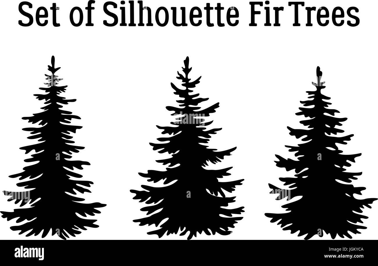 Christmas Fir Trees Silhouettes Stock Vector