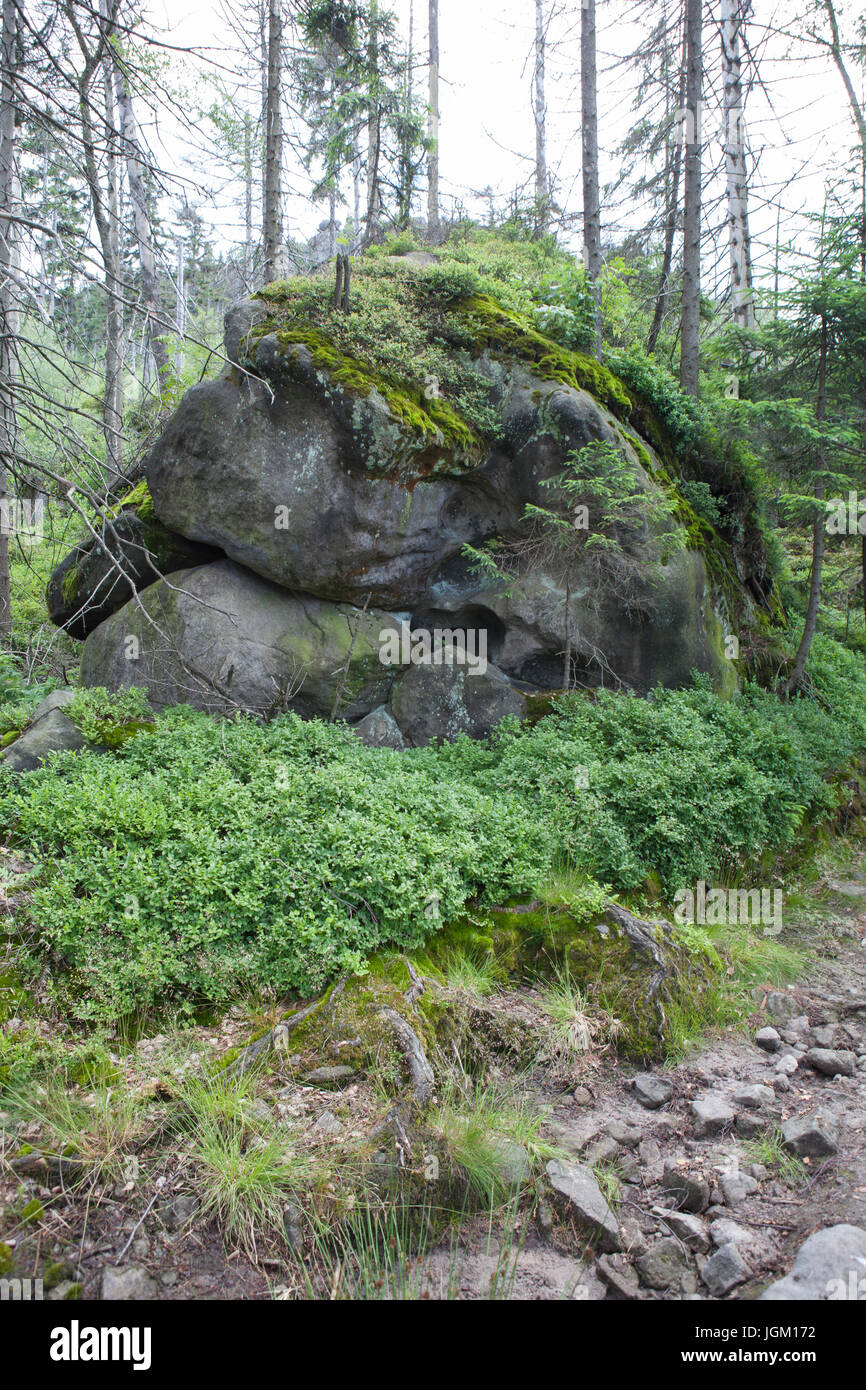 Stołowe Mountains National Park Poland, Stock Photo