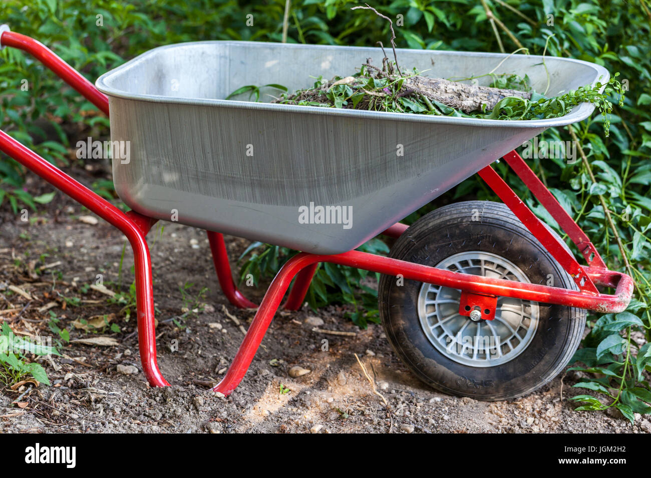 Garden wheelbarrow loaded weeds Stock Photo Alamy