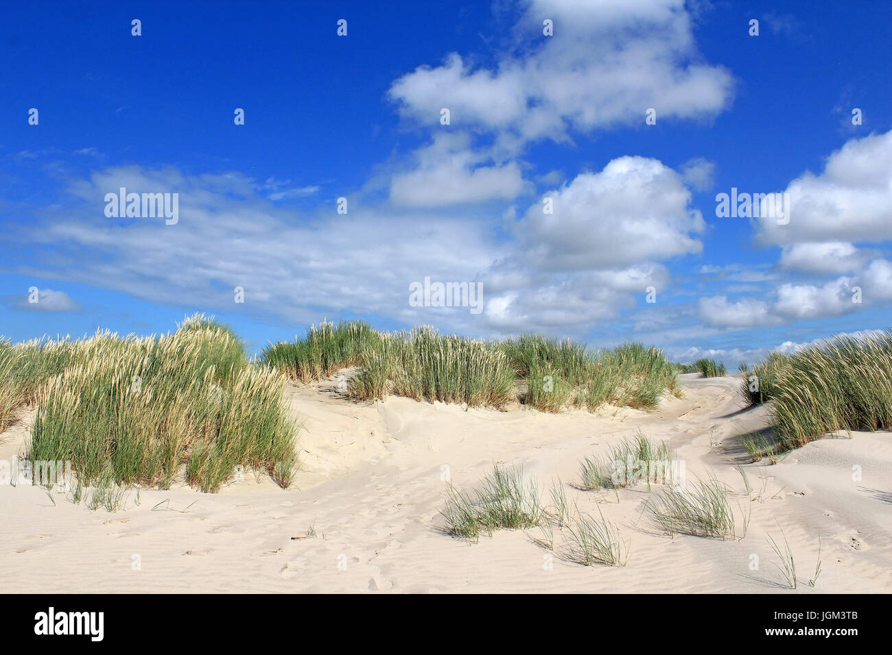 Europe, Germany, the FRG, the federal republic, Lower Saxony, island, islands, East Friesland, East Frisian, Norderney, sandy dune, sandy dunes, beach Stock Photo