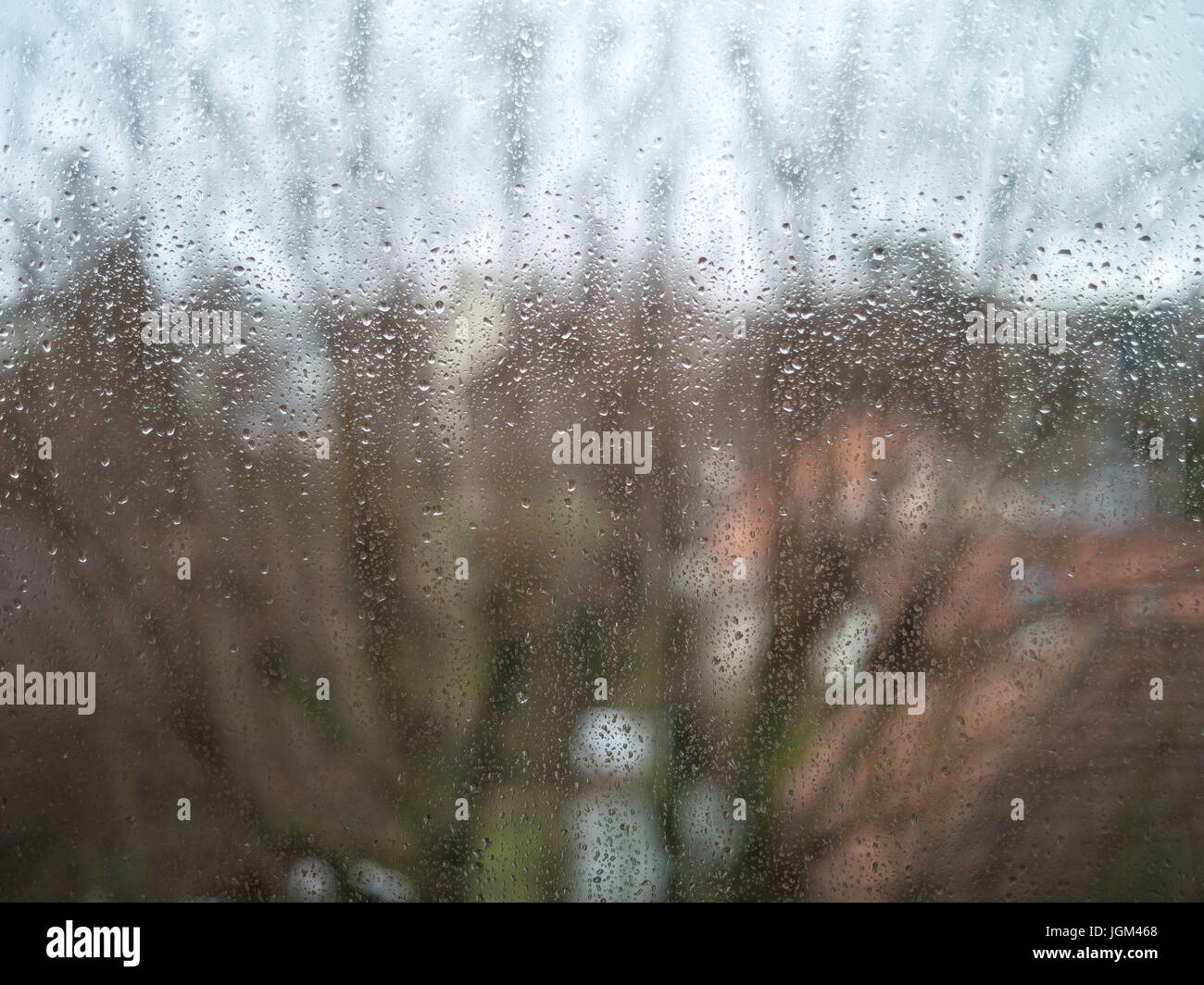 Raindrops on window in front of a blurry background with tree branches and tiled rooftops Stock Photo