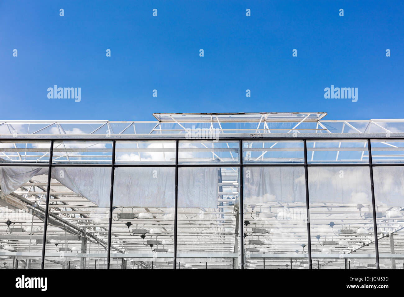 transparent glass roof of greenhouse with open windows for ventilation Stock Photo