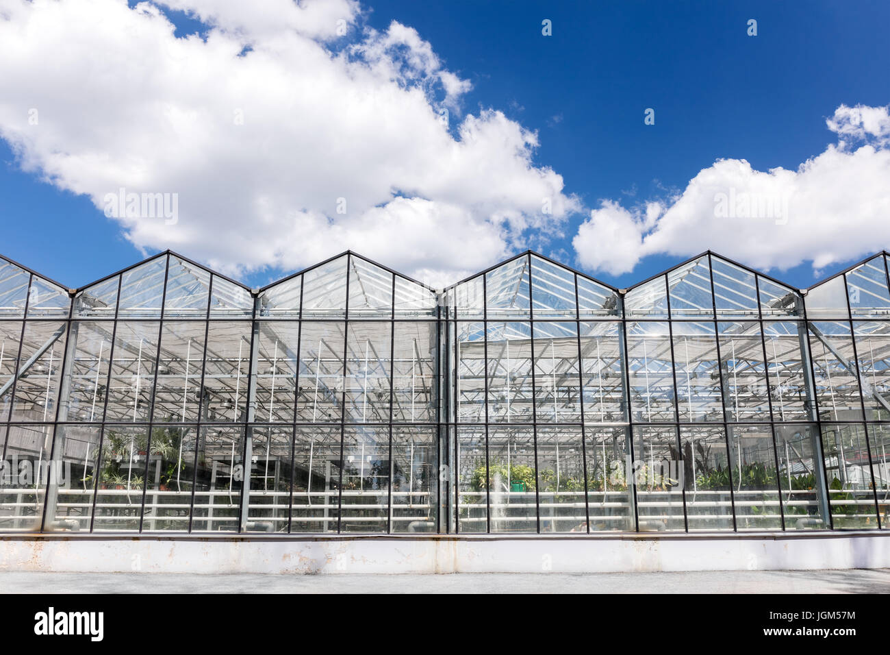 Commercial greenhouses hi-res stock photography and images - Alamy