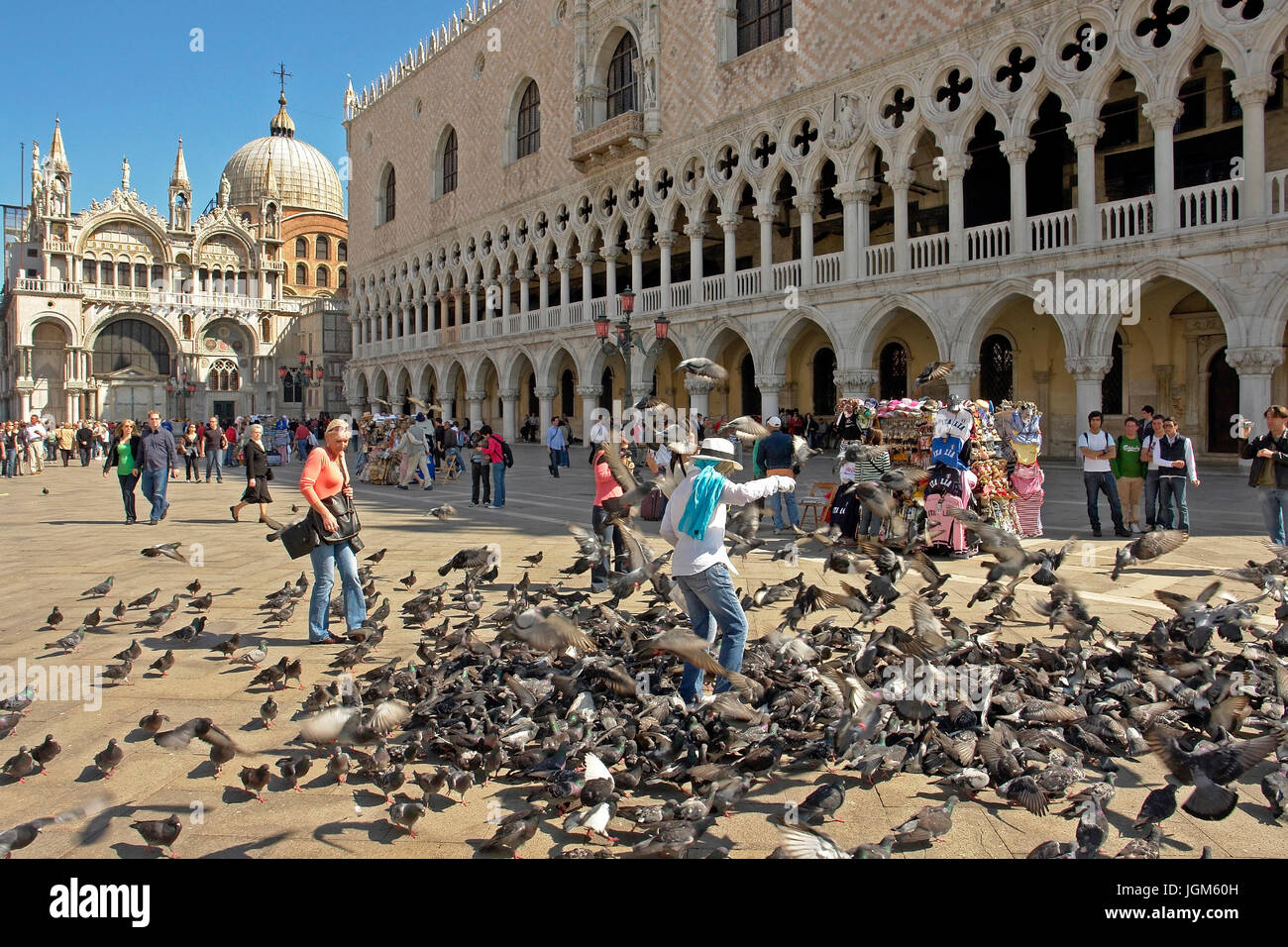 Europe, Italy, Venice, bridge, bridge, town, lane, lanes, panorama, city centre, pigeons, Markus's place, tourist, feed, feed, day, daylight, outside, Stock Photo