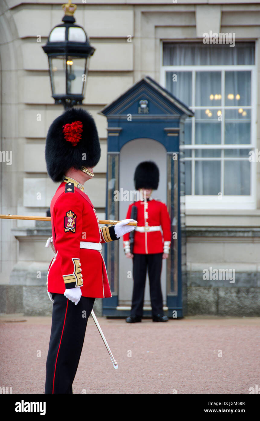 Queen's guards at the Changing of the Guards at Buckingham Palace Stock Photo