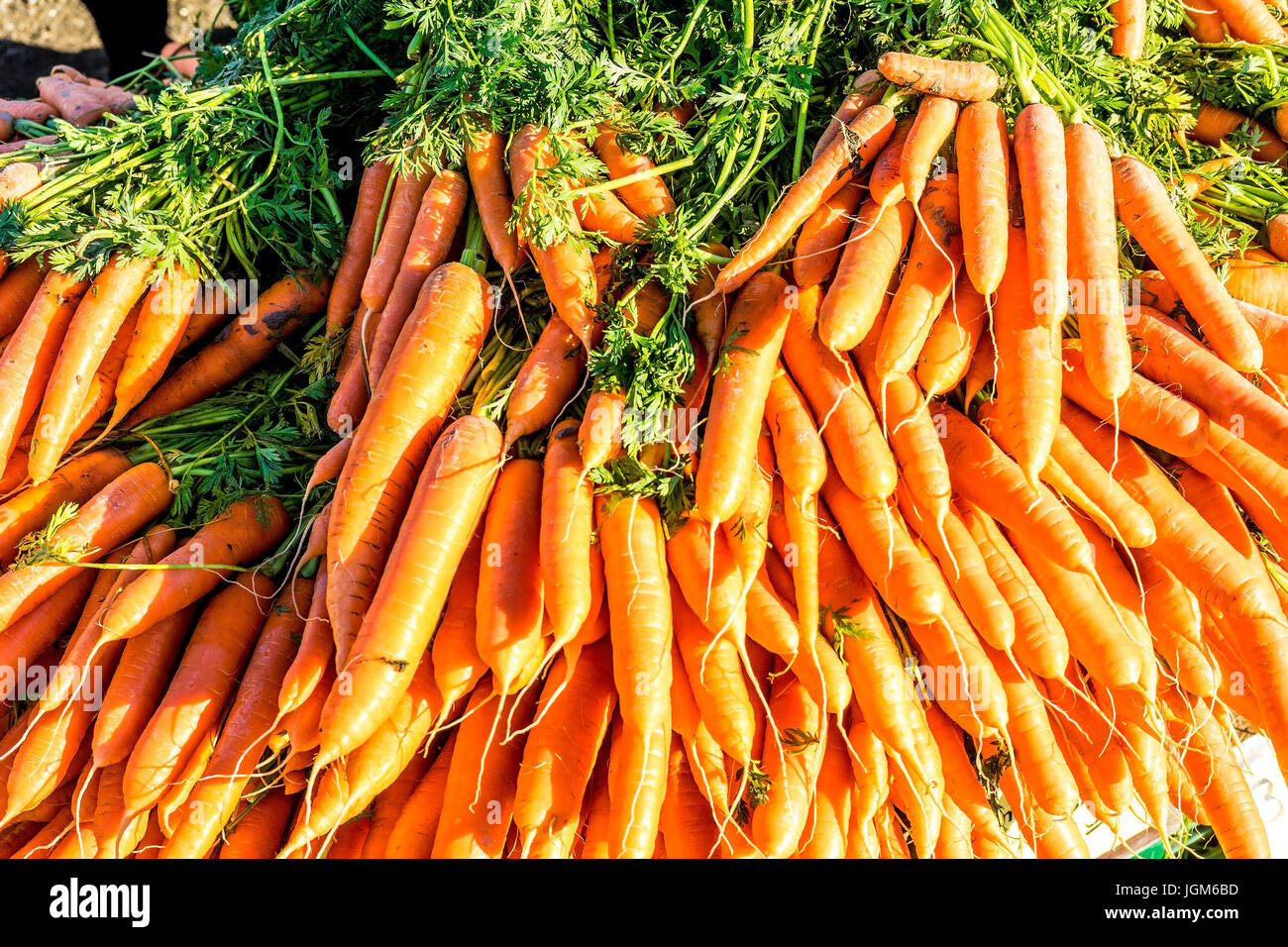 vegetables, carrots, root vegetables, are rooted, Fruit and vegetables