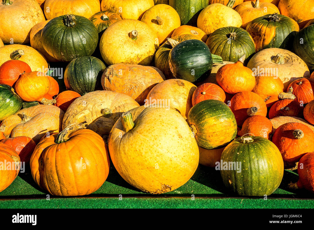 Germany, vegetables, vegetables, pumpkin, North Germany, Schleswig