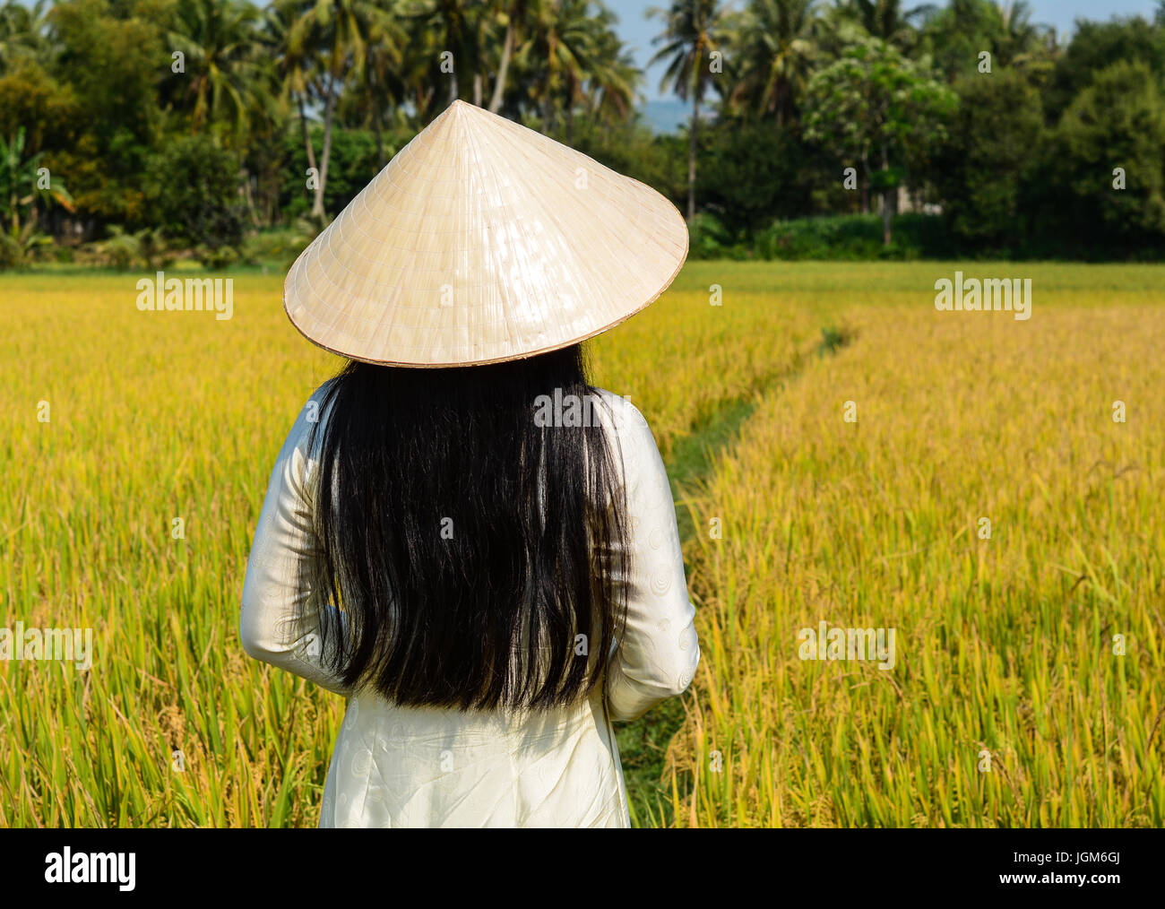 A Vietnamese woman in traditional dress (Ao Dai) standing and looking ...